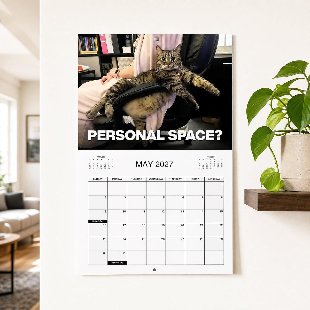 🐾 2027 Wall Calendar Collection Funny, Quirky & Seriously Cute — Find Your Perfect Calendar for 2027
