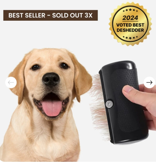 💥Hot Sale 50% OFF🐕Pet Professional Brush