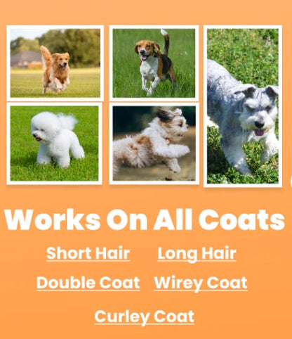 💥Hot Sale 50% OFF🐕Pet Professional Brush