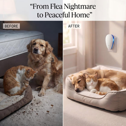 🎃Halloween Deal 50% OFF!🏠Advanced Pest Control– Eradicates Fleas Once And For All