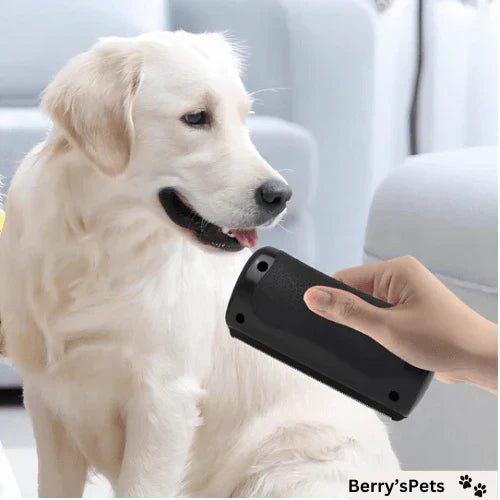 💥Hot Sale 50% OFF🐕Pet Professional Brush