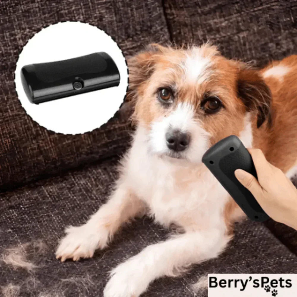 💥Hot Sale 50% OFF🐕Pet Professional Brush